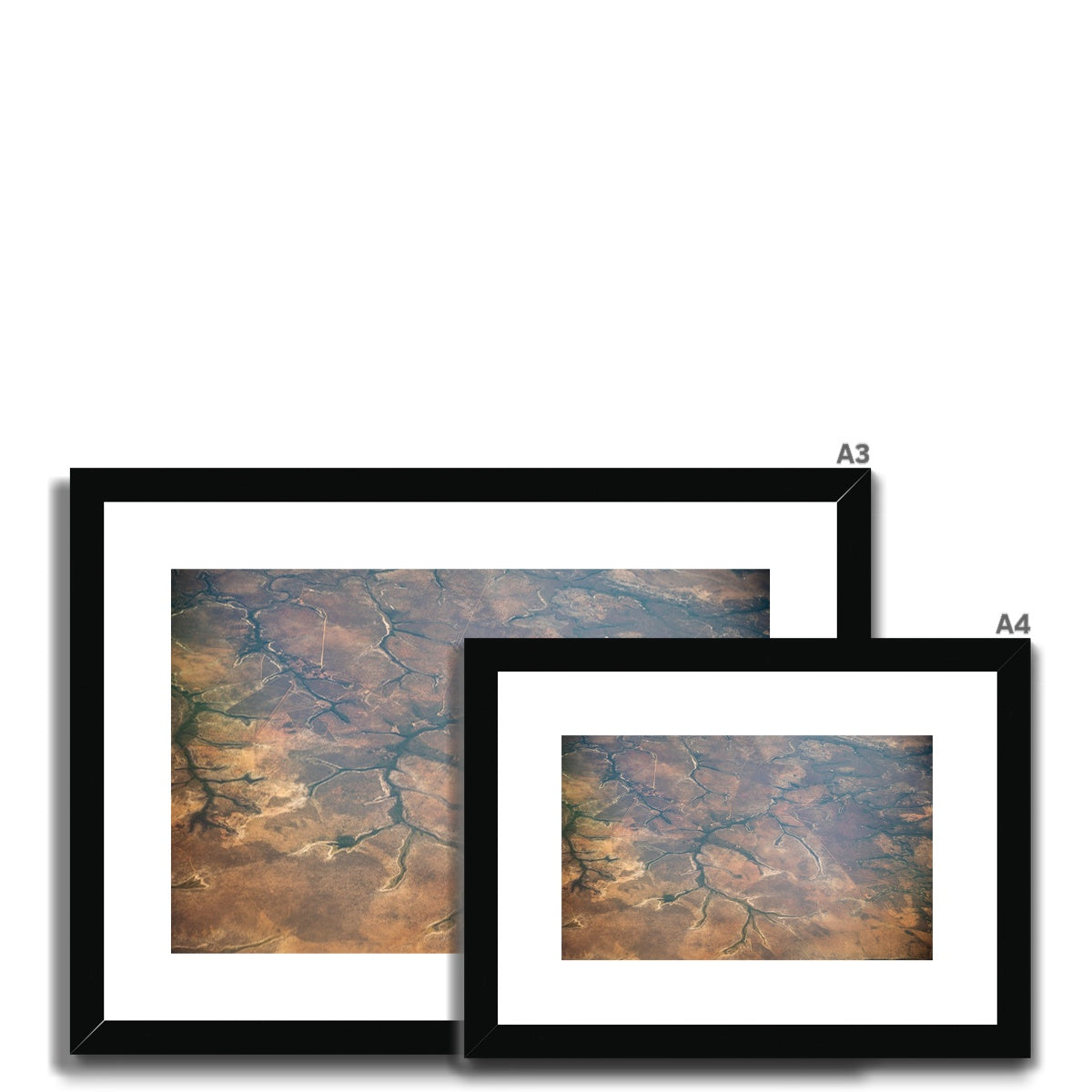 Amazonas after the fires Framed & Mounted Print
