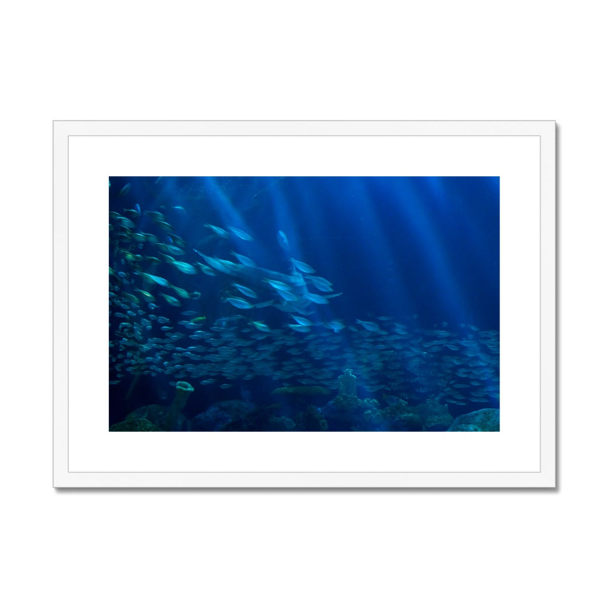 Just keep swimming Framed & Mounted Print