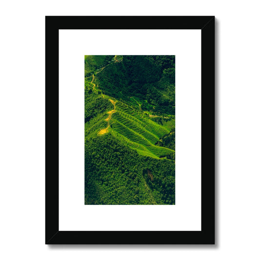 Coffee fields of Colombia Framed & Mounted Print