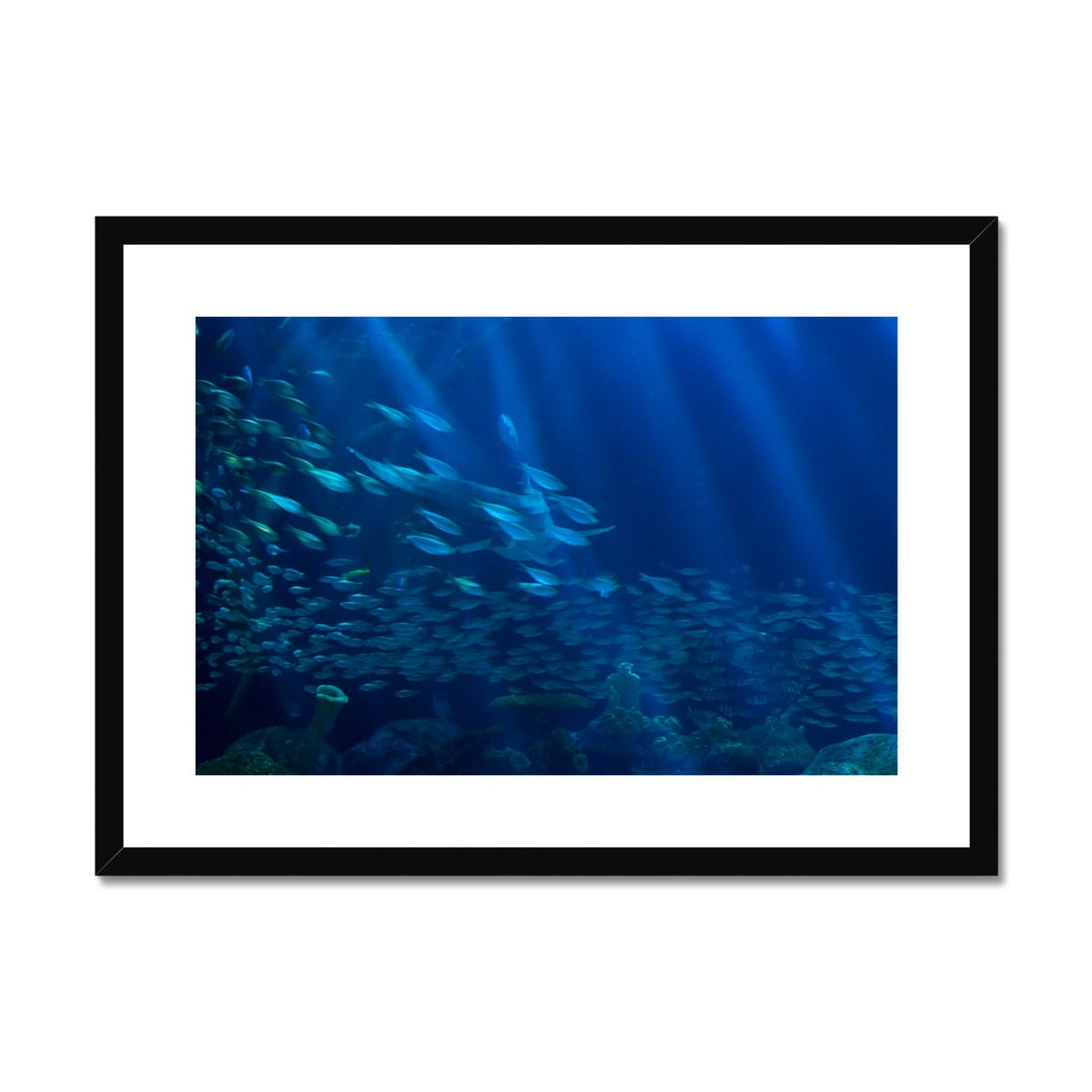 Just keep swimming Framed & Mounted Print