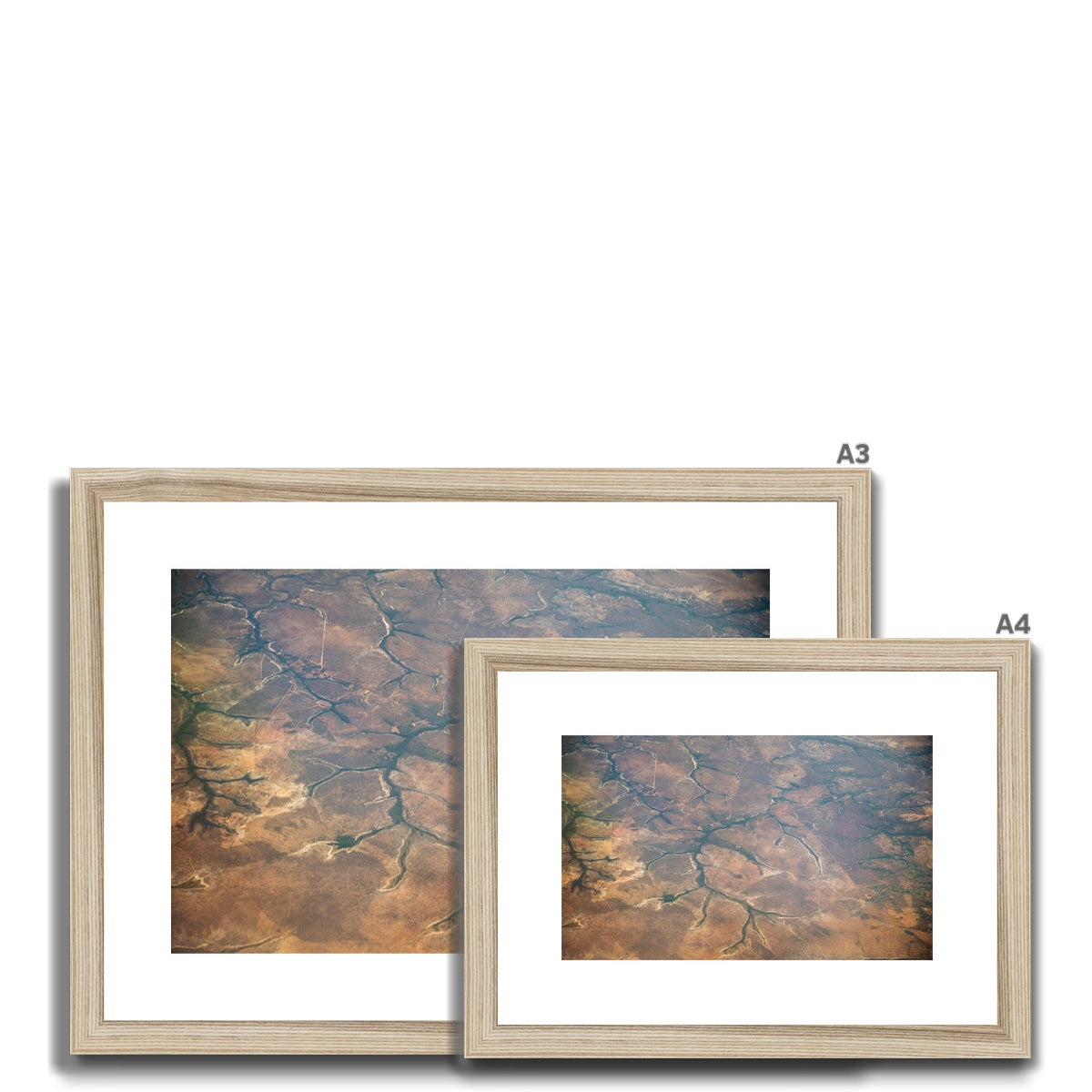 Amazonas after the fires Framed & Mounted Print